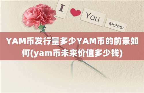 YAM币发行量多少YAM币的前景如何(yam币未来价值多少钱)