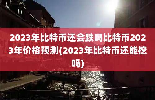 2023年比特币还会跌吗比特币2023年价格预测(2023年比特币还能挖吗)