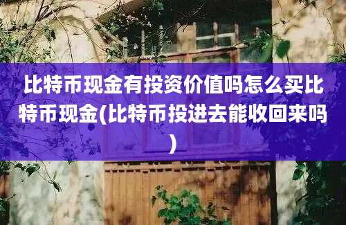 比特币现金有投资价值吗怎么买比特币现金(比特币投进去能收回来吗)