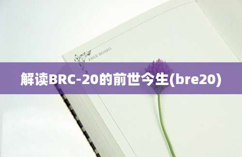 解读BRC-20的前世今生(bre20)