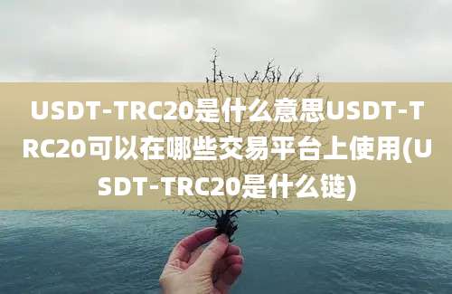 USDT-TRC20是什么意思USDT-TRC20可以在哪些交易平台上使用(USDT-TRC20是什么链)