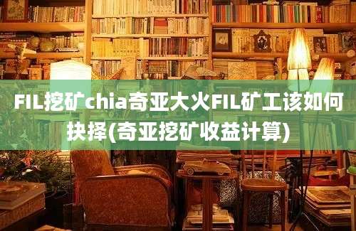 FIL挖矿chia奇亚大火FIL矿工该如何抉择(奇亚挖矿收益计算)