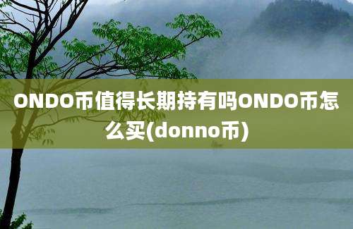 ONDO币值得长期持有吗ONDO币怎么买(donno币)