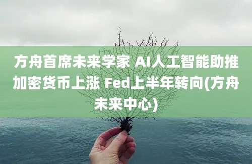 方舟首席未来学家 AI人工智能助推加密货币上涨 Fed上半年转向(方舟未来中心)