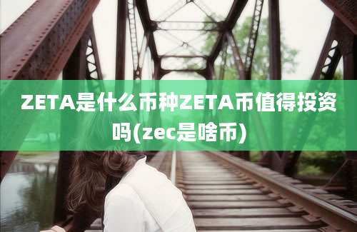 ZETA是什么币种ZETA币值得投资吗(zec是啥币)