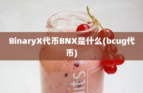 BinaryX代币BNX是什么(bcug代币)