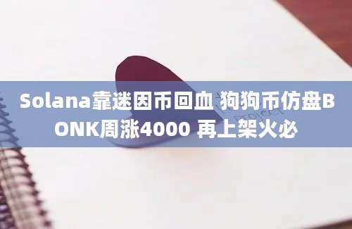 Solana靠迷因币回血 狗狗币仿盘BONK周涨4000 再上架火必