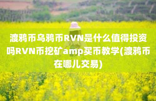 渡鸦币乌鸦币RVN是什么值得投资吗RVN币挖矿amp买币教学(渡鸦币在哪儿交易)