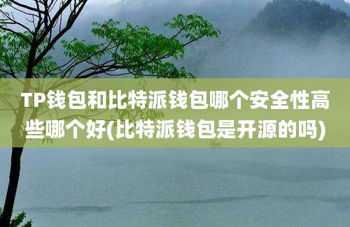 TP钱包和比特派钱包哪个安全性高些哪个好(比特派钱包是开源的吗)