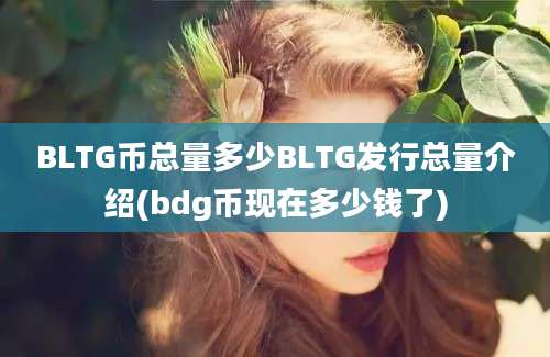 BLTG币总量多少BLTG发行总量介绍(bdg币现在多少钱了)