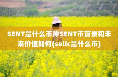 SENT是什么币种SENT币前景和未来价值如何(sellc是什么币)