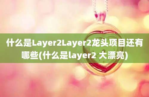 什么是Layer2Layer2龙头项目还有哪些(什么是layer2 大漂亮)