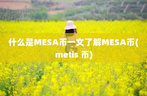 什么是MESA币一文了解MESA币(metis 币)