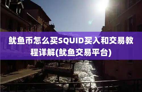 鱿鱼币怎么买SQUID买入和交易教程详解(鱿鱼交易平台)