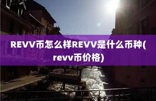 REVV币怎么样REVV是什么币种(revv币价格)