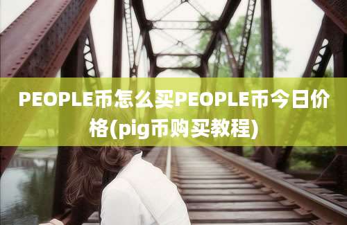 PEOPLE币怎么买PEOPLE币今日价格(pig币购买教程)