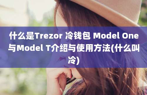 什么是Trezor 冷钱包 Model One与Model T介绍与使用方法(什么叫冷)