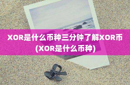 XOR是什么币种三分钟了解XOR币(XOR是什么币种)