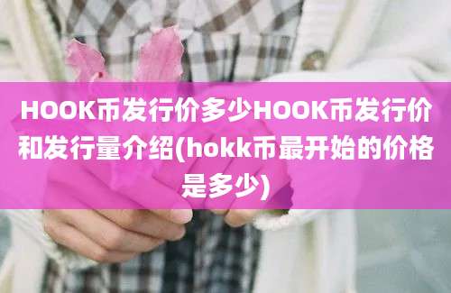 HOOK币发行价多少HOOK币发行价和发行量介绍(hokk币最开始的价格是多少)