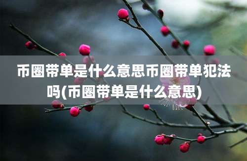 币圈带单是什么意思币圈带单犯法吗(币圈带单是什么意思)