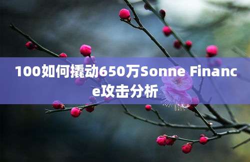 100如何撬动650万Sonne Finance攻击分析