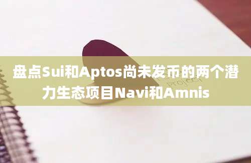 盘点Sui和Aptos尚未发币的两个潜力生态项目Navi和Amnis