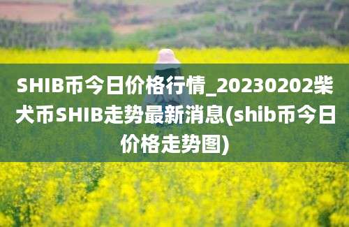 SHIB币今日价格行情_20230202柴犬币SHIB走势最新消息(shib币今日价格走势图)