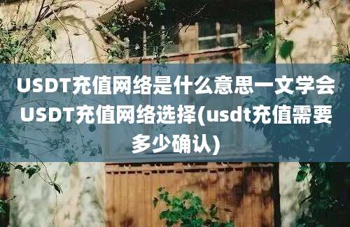 USDT充值网络是什么意思一文学会USDT充值网络选择(usdt充值需要多少确认)