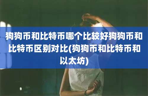 狗狗币和比特币哪个比较好狗狗币和比特币区别对比(狗狗币和比特币和以太坊)