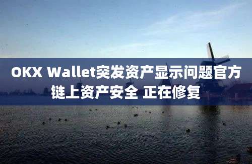 OKX Wallet突发资产显示问题官方链上资产安全 正在修复