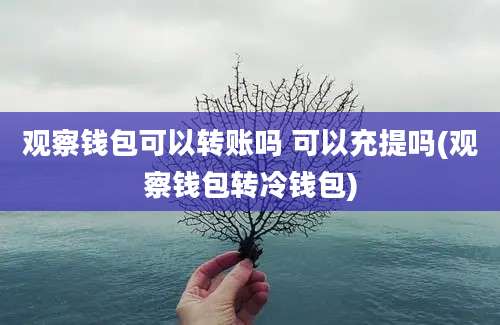 观察钱包可以转账吗 可以充提吗(观察钱包转冷钱包)