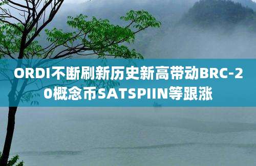 ORDI不断刷新历史新高带动BRC-20概念币SATSPIIN等跟涨