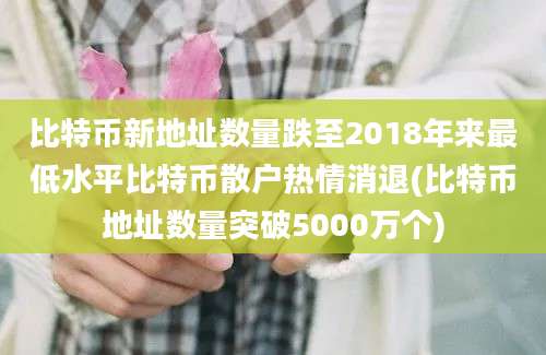 比特币新地址数量跌至2018年来最低水平比特币散户热情消退(比特币地址数量突破5000万个)