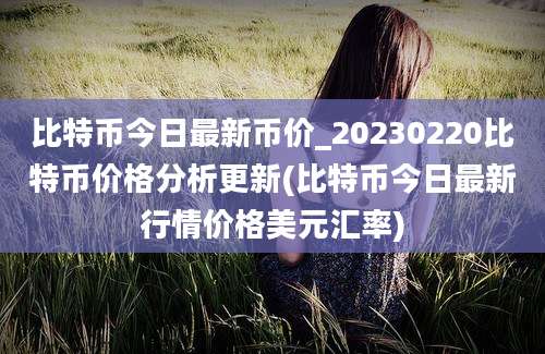 比特币今日最新币价_20230220比特币价格分析更新(比特币今日最新行情价格美元汇率)