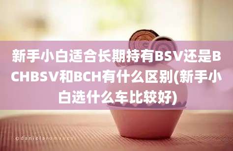 新手小白适合长期持有BSV还是BCHBSV和BCH有什么区别(新手小白选什么车比较好)