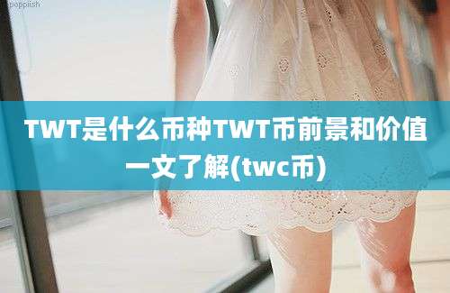 TWT是什么币种TWT币前景和价值一文了解(twc币)