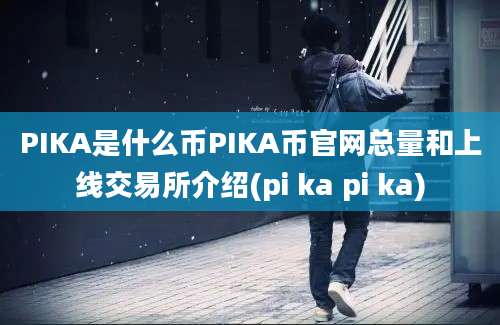 PIKA是什么币PIKA币官网总量和上线交易所介绍(pi ka pi ka)