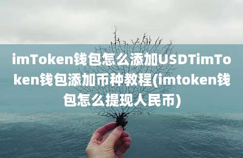 imToken钱包怎么添加USDTimToken钱包添加币种教程(imtoken钱包怎么提现人民币)