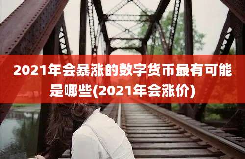 2021年会暴涨的数字货币最有可能是哪些(2021年会涨价)