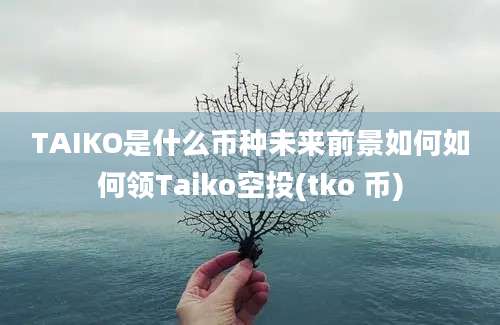 TAIKO是什么币种未来前景如何如何领Taiko空投(tko 币)