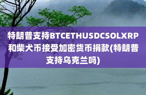 特朗普支持BTCETHUSDCSOLXRP和柴犬币接受加密货币捐款(特朗普支持乌克兰吗)