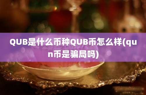 QUB是什么币种QUB币怎么样(qun币是骗局吗)