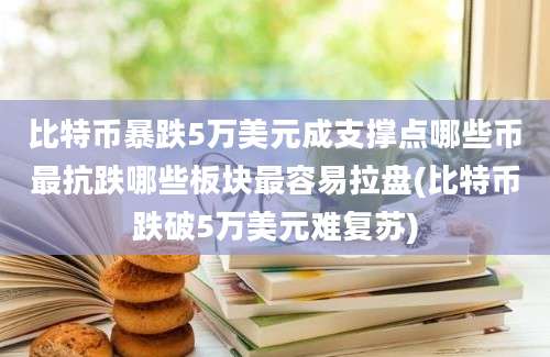 比特币暴跌5万美元成支撑点哪些币最抗跌哪些板块最容易拉盘(比特币跌破5万美元难复苏)