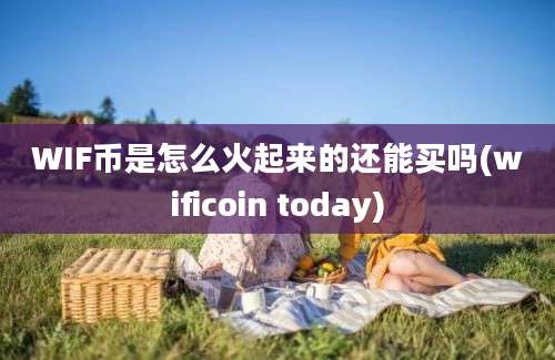 WIF币是怎么火起来的还能买吗(wificoin today)