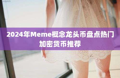 2024年Meme概念龙头币盘点热门加密货币推荐