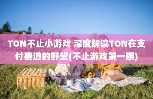 TON不止小游戏 深度解读TON在支付赛道的野望(不止游戏第一期)