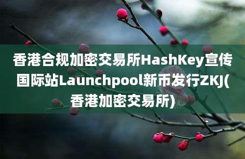 香港合规加密交易所HashKey宣传国际站Launchpool新币发行ZKJ(香港加密交易所)