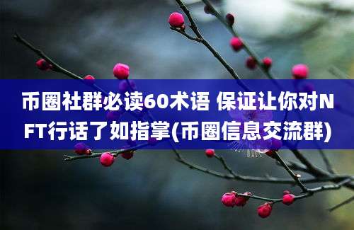 币圈社群必读60术语 保证让你对NFT行话了如指掌(币圈信息交流群)