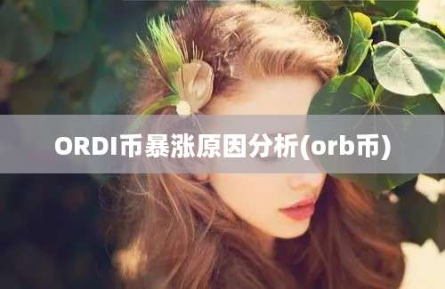 ORDI币暴涨原因分析(orb币)