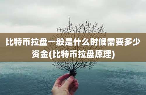 比特币拉盘一般是什么时候需要多少资金(比特币拉盘原理)